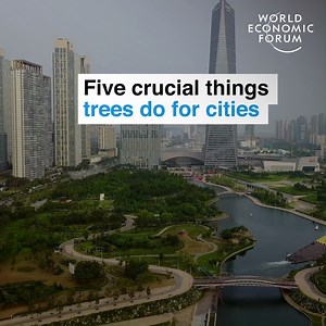 110K views · 2.2K reactions | Keeping us clean, lean and green.  Learn more about cities planting trees: https://wef.ch/2RyBXHU | World Economic Forum | Facebook
