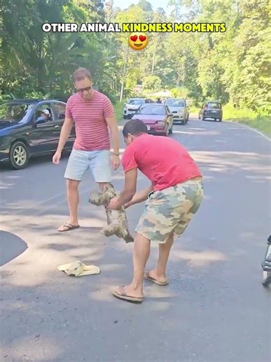 Other Animal Kindness Moments ❤️🐾