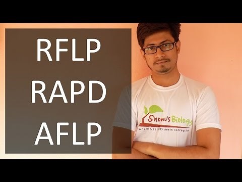 Genetic Markers | RAPD, RFLP, AFLP
