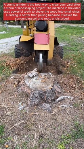 Heavy Machinery in Action: Stump Removal