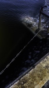 Catching Maryland blue crabs, the best blue crabs in United States of America blue crab capital of the world Shadyside, Maryland. Don’t get no better than these blues. | DeadwoodCove Blue Crabs