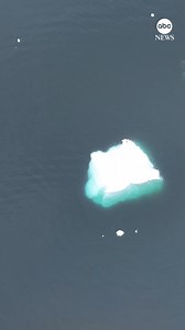 Drone footage of hunting whales shows an example of the Fibonacci spiral occurring in nature, where the two whales can be seen working together to create a bubble net surrounding fish. Bubble-net feeding is usually observed in groups of four or five humpback whales, where the whales dive down several hundred feet, releasing a stream of air bubbles in a spiral pattern “at a precise moment and in an exact sequence," according to research. https://abcnews.visitlink.me/QM-cQK | ABC News