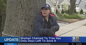 Update: Woman chained to tree has only days left to save it