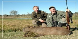 Ways To Hunt And Catch Wild Capybaras Alive [Steps] – Capybaratips