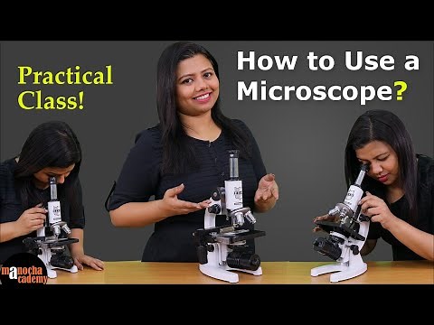How to Use a Light Microscope