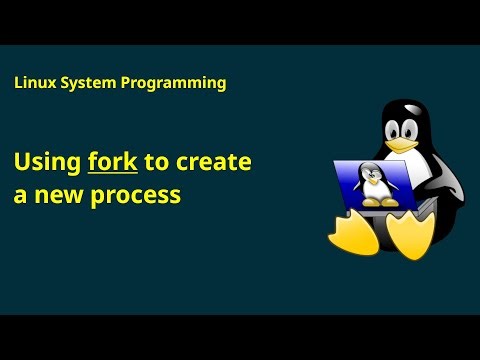 Linux System Programming: Using fork to create a new process as a dublicate
