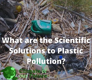 Positive Effects of Fish Farming on the Environment - Climate Of Our Future