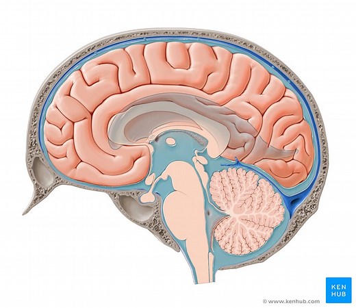 Cerebrospinal fluid flow