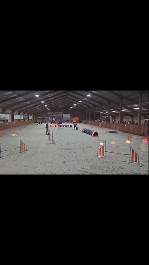 15 reactions | "Keeshond Video"#keeshond #keeshonds #dogs #keeshondlife #keeshondlovercommunity | Keeshond Lover Community | Facebook