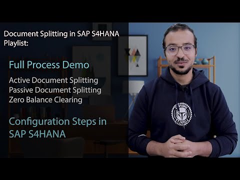 SAP Document Splitting Overview: Financial Reporting on Business Segments