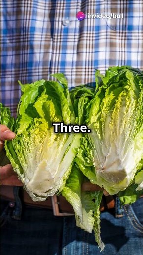 Crossword Answers & Solutions | Daily Puzzle Help"