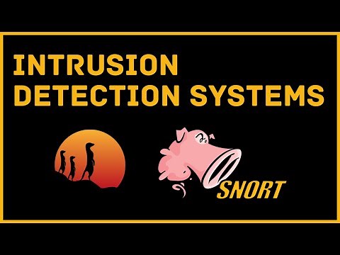 Introduction To Intrusion Detection Systems (IDS)