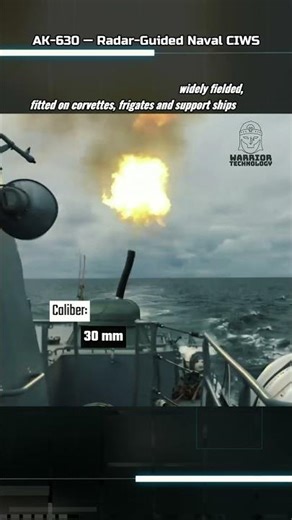 A naval CIWS with 6 barrels and insane speed