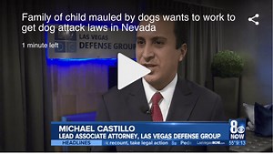 Nevada Dog Bite Laws - A Quick Legal Breakdown