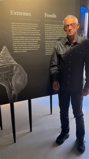 Today, learn about our fossil exhibit in the Great Hall of Shells. Plan your visit today at shellmuseum.org | Bailey-Matthews National Shell Museum & Aquarium