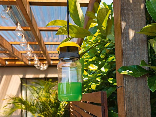 Effective ways to keep flies away