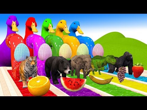 Amazing 3D Wildlife Animation | Full HD Video