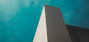 How to Get Rid of Pigeons: The 3-Step Guide (Proven & Humane)