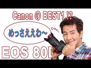 Canon EOS 80Dの3ヶ月後のレビュー