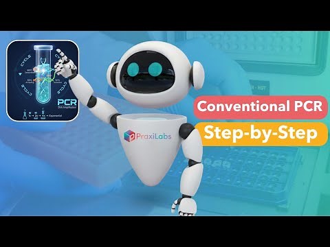 Virtual Experiment: Polymerase Chain Reaction (PCR) Simulation in Virtual Labs