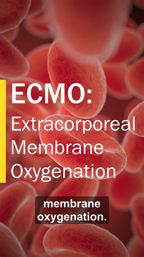 ECMO – extracorporeal membrane oxygenation – is a key tool in helping patients with more dire outcomes. In fact, in many cases, they're not even aware of being on the ECMO machine. Not everyone that gets ECMO is able to get information about it ahead of time, but whenever possible, we strive to make sure patients feel educated about what they’re facing. Our adult ECMO team was named a Platinum Level Center of Excellence by ELSO - Extracorporeal Life Support Organization. We spoke to UVA Health E