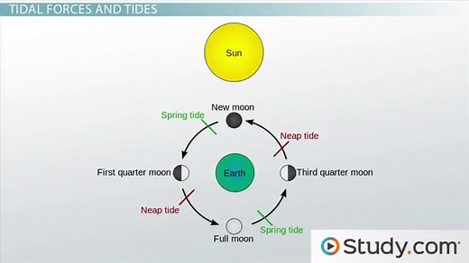 How Gravity, the Moon & the Sun Influence Tides