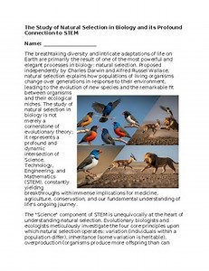 Natural Selection & STEM - No Prep - Worksheet - 100% Editable