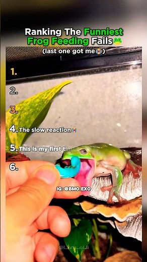 Funniest Frog Feeding Fails Ever!