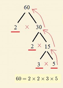 Prime Factorization in Maths - Grade 7 Maths Questions With Detailed Solutions