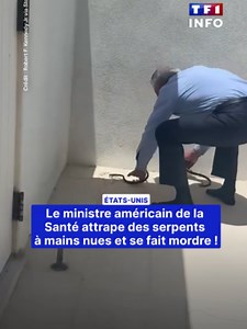 🐍😮 Le secrétaire d’État américain à la Santé, Robert Kennedy Jr., a publié mardi 27 mai une vidéo sur X dans laquelle il apparaît en train d’attraper deux serpents à mains nues. Sur les images, l’homme politique est vêtu d’un costume, mais sans chaussures, et tente de saisir les deux reptiles réfugiés dans un coin d’une terrasse. Alors que les serpents se débattent à plusieurs reprises, son épouse essaie de le convaincre de les relâcher. Hors champ, une personne lui demande : « Elles sont en t
