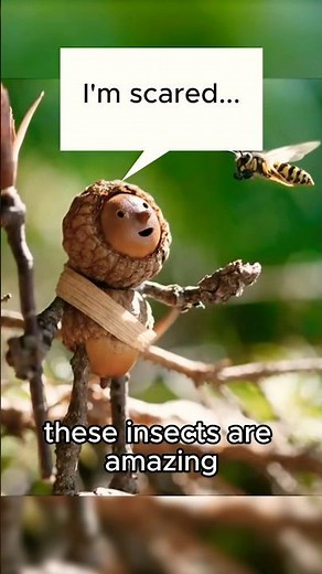 The world’s most loved Weevil! #animalfacts #insects #weevil #animals #insect