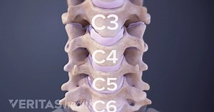 Cervical Vertebrae Anatomy Animation