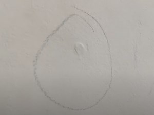 How To Fix Nail Pops In Drywall In 7 Steps Like A Pro ✨