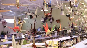 Meet The Kenmore Branch Library