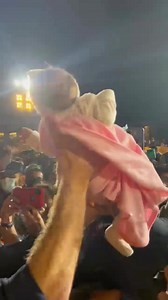 22M views · 2.5M reactions | Our BLACK ADAM⚡️ Tour has been electric,...