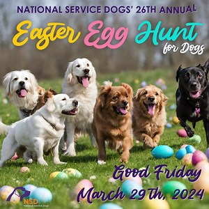 17 reactions · 24 shares | Mark your calendars! NSD's 26th annual Easter Egg Hunt for Dogs is March 29th. That is only 10 short weeks away. Get Early Bird registration and share to win some great prizes! Find all the details on our website: nsd.on.ca | National Service Dogs | Facebook