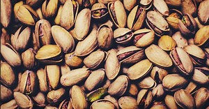 Growing Pistachios: The Complete Guide to Plant, Grow, & Harvest Pistachios