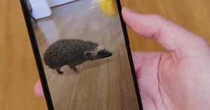 These are the Google 3D animals you like best, and the ones you want added
