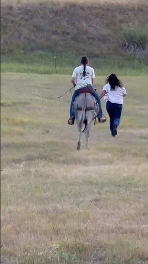 Wild Donkey's First Ride - A Heartwarming Adventure