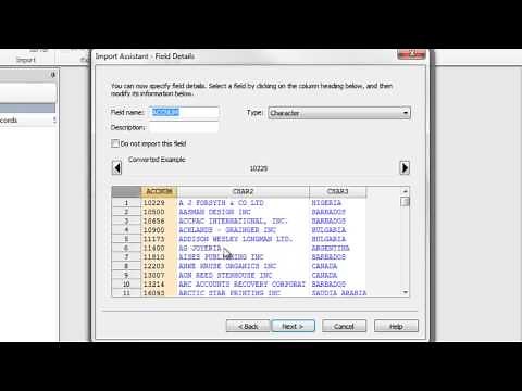 CaseWare IDEA Tutorial: CSV Import