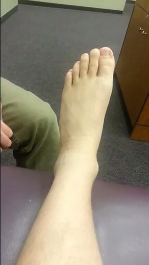 Dorsalis Pedis and Posterior Tibial Pulses