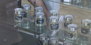 City’s newest cannabis dispensary opens its doors