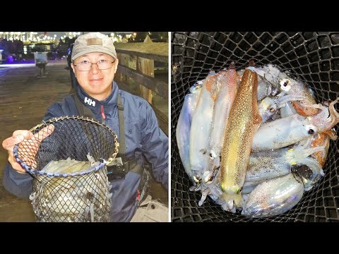 Enjoy the Fun of Autumn Squid Fishing in Washington State 10/04/2025 | 7.5 lbs of squid in 3 hours