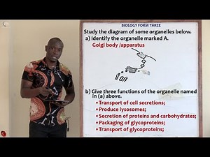 Part 3; Biology Form 3 Revision