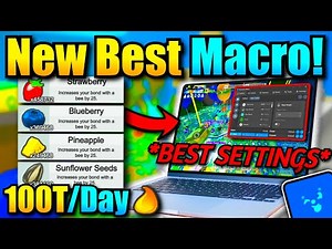 How to Macro 100T+ Per Day with Revolution Macro (Windows & Mac) - Bee Swarm Simulator
