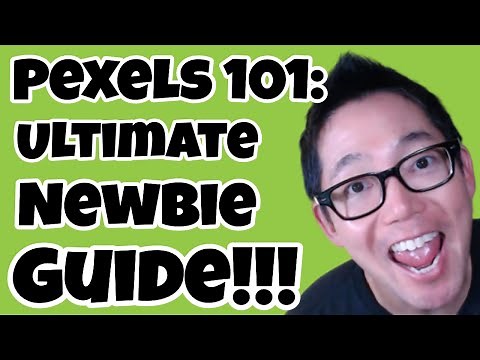 Pexels - 101 - The Ultimate Newbie Guide