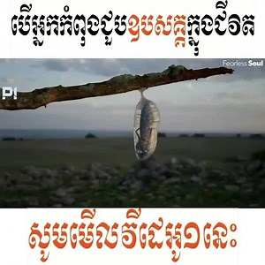 69K views · 5.1K reactions | Paradigm on Reels | Facebook