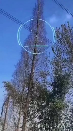 Revolutionizing Tree Trimming with Laser Technology
