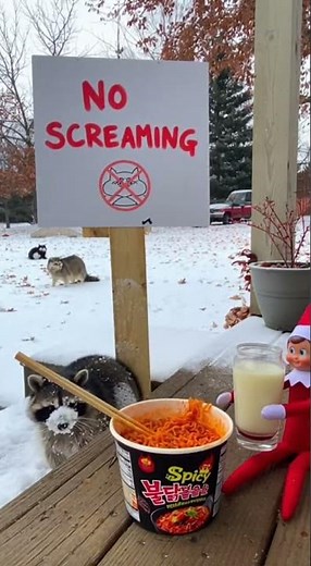 Funny animals reactions to spicy food challenge #funny #animals