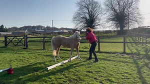 16K views · 168 reactions | Sound UP or you kinda miss the point ......